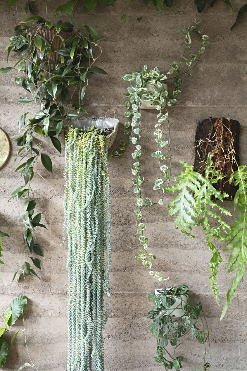 Modern Plant Filled Handmade Furniture Australia Home Tour | Apartment